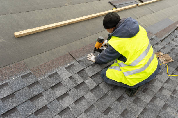 Best Local Roofing Companies  in Delta Junction, AK