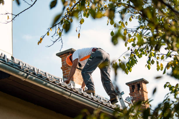 Best Flat Roof Repair Services  in Delta Junction, AK