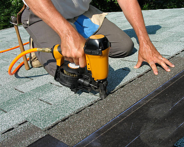 Best Roof Leak Repair  in Delta Junction, AK