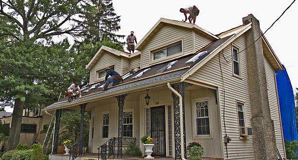 Quick and Trustworthy Emergency Roof Repair Services in Delta Junction, AK