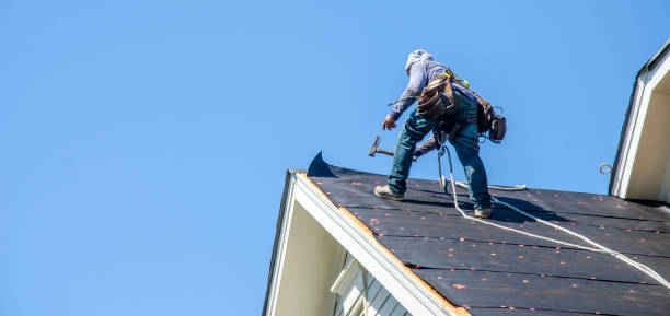 Best Sealant for Roof  in Delta Junction, AK